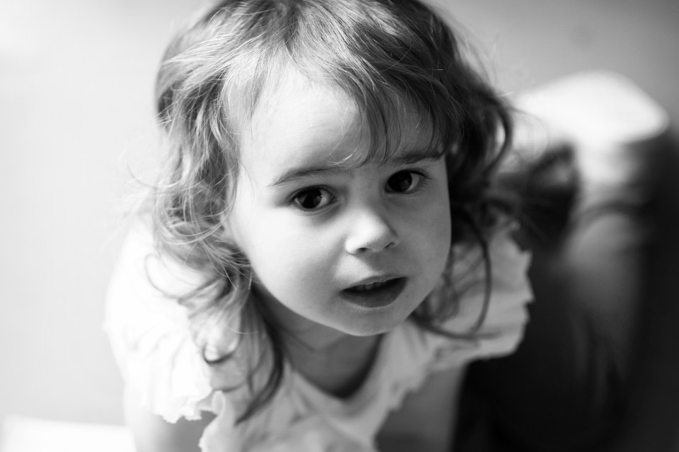 Hafod farm wedding photography. Fine art and reportage wedding photography Cheshire