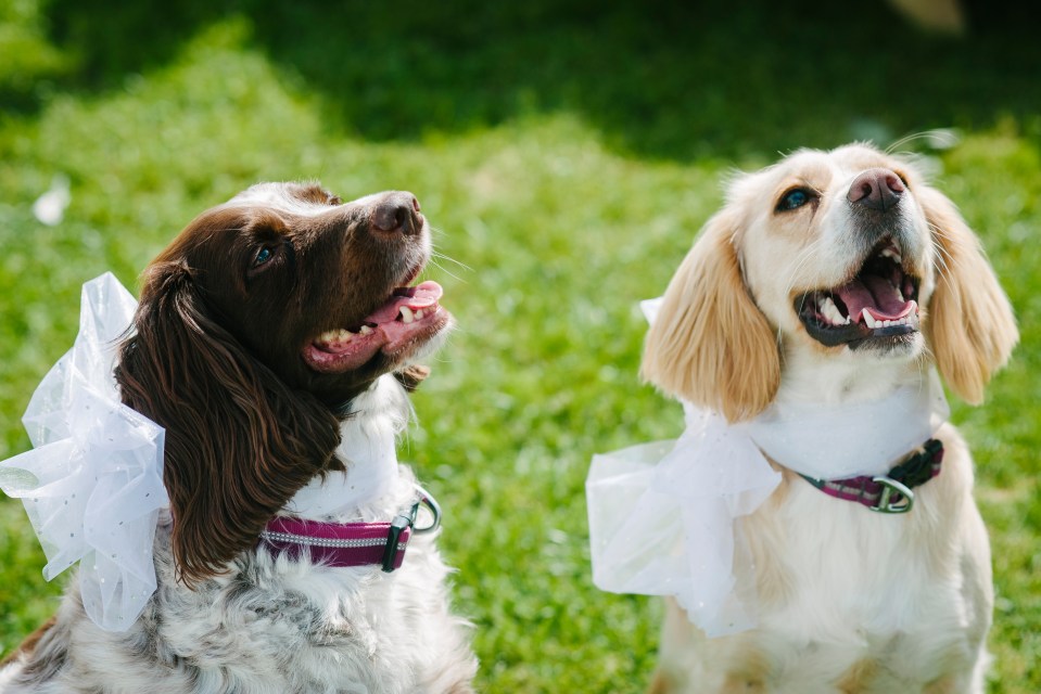 Knipe hall wedding photography - alternative wedding photographer penrith cumbria