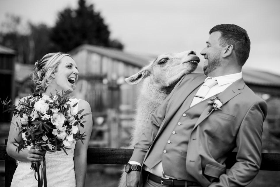 Skipbridge farm wedding photography